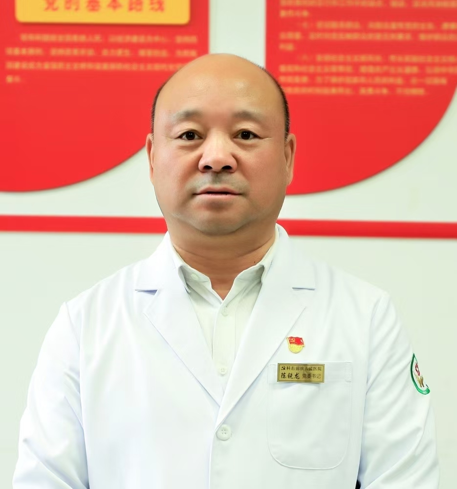陈锐龙书记